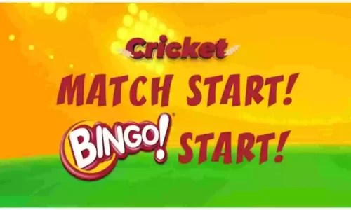 Bingo Cricket Game Contest: Play 1 Over Match & Win Free Goodies