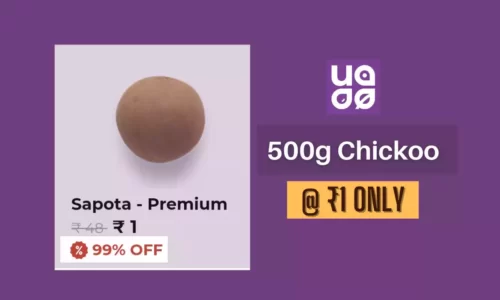 UrbanKisaan: Rs.1 Chickoo/Sapota Premium 500g | For New Users Only