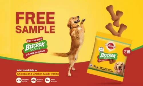 Pedigree Free Sample: Get Biscrok Biscuits | 100% OFF + No Shipping Charges