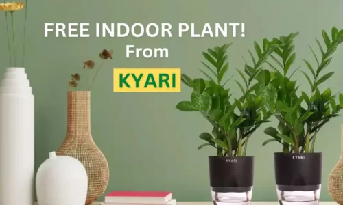 Order Kyari Free Plants & Get 100% Cashback | Indoor Plant