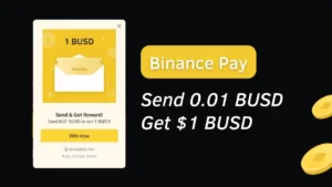 Binance Send 0.01 BUSD