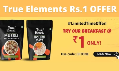 Try True Elements Rs.1 Breakfast: Use Code GETONE | Limited Time Offer