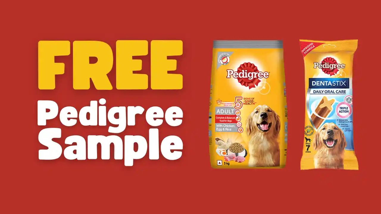 Read more about the article Order Pedigree Dog Food & Dentastix Sample @ 100% Off With Free Shipping